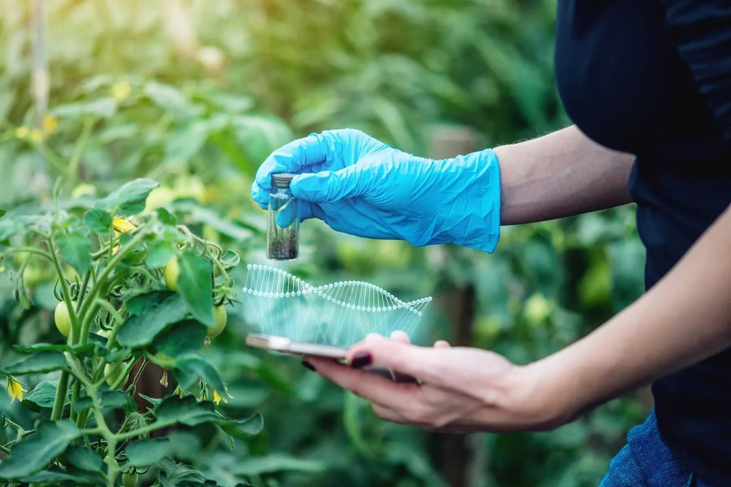 Turkey Sourcing Agency | Advanced Agricultural Chemicals Manufacturers in Turkey