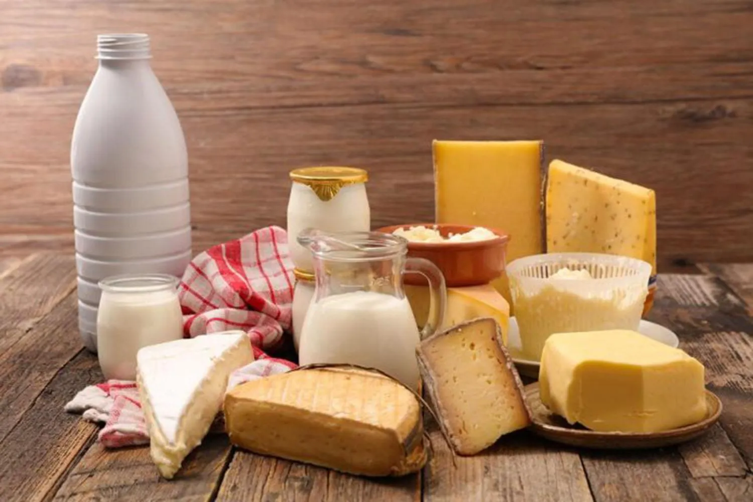Turkey Sourcing Agency | Dairy Products Manufacturers & Sourcing Service – Turkey