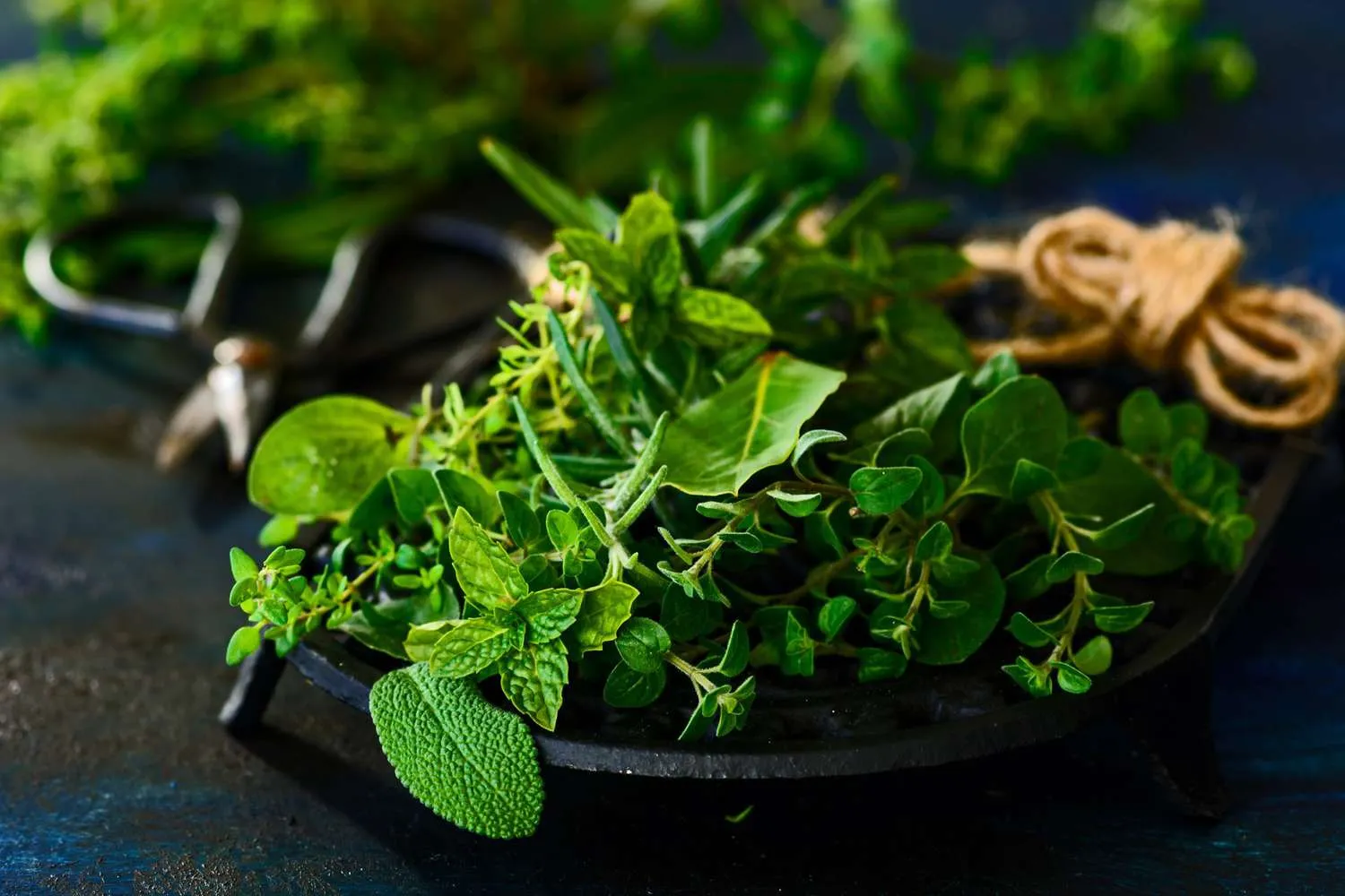 Turkey Sourcing Agency | Spices & Herbs Manufacturers and Sourcing Solutions from Turkey