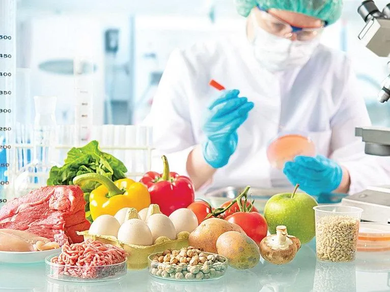 Turkey Sourcing Agency | Top Food Additives & Preservatives Manufacturers in Turkey