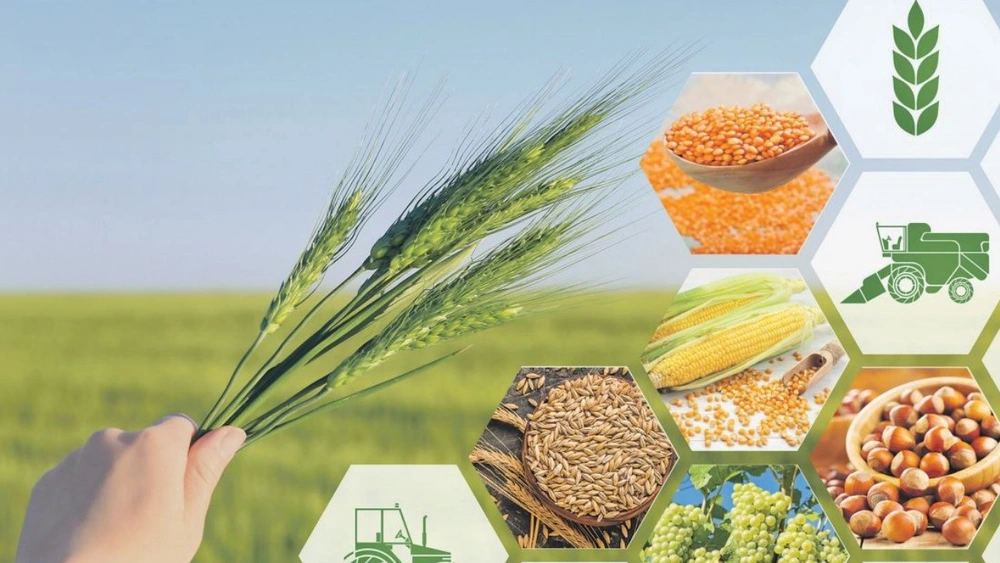 Turkey Sourcing Agency - Global Impacts of U.S. Trade Tariffs and Opportunities for Turkey