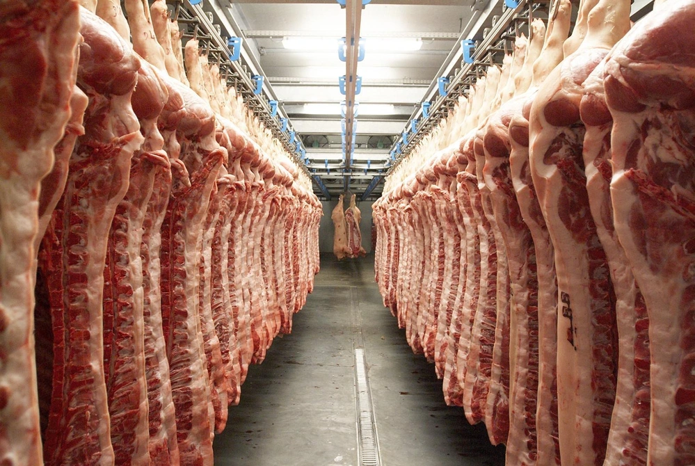 Turkey Sourcing Agency - Turkey Meat Manufacturer Top White and Red Meat Products Export