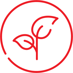 Turkey Sourcing Agency | Food Industry