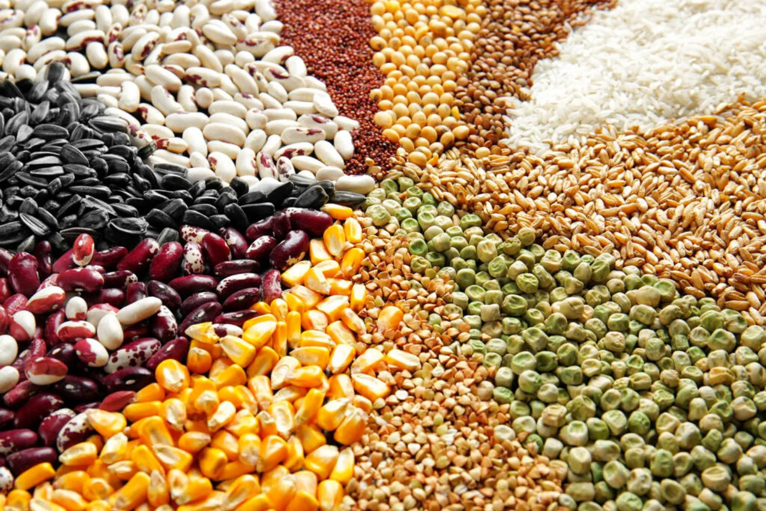 Optimize Your Supply Chain Sourcing with Turkish Manufacturing Excellence - Turkey Sourcing Agency