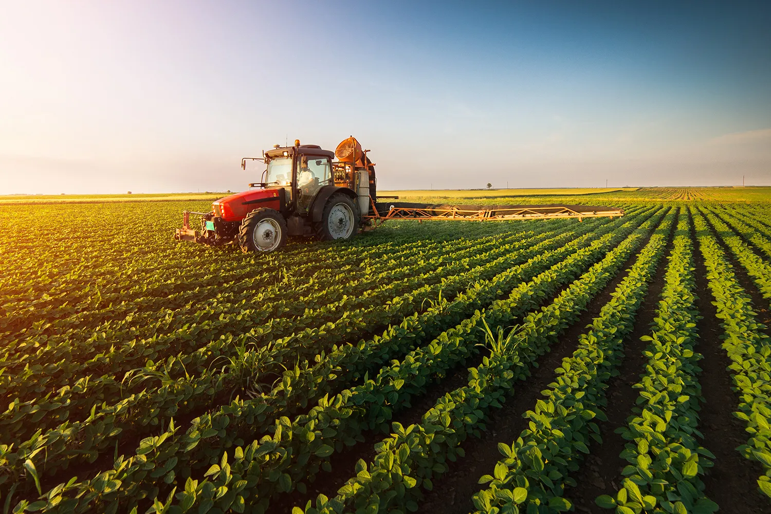 Global Fulfillment Solutions from Turkey for Seamless B2B Operations