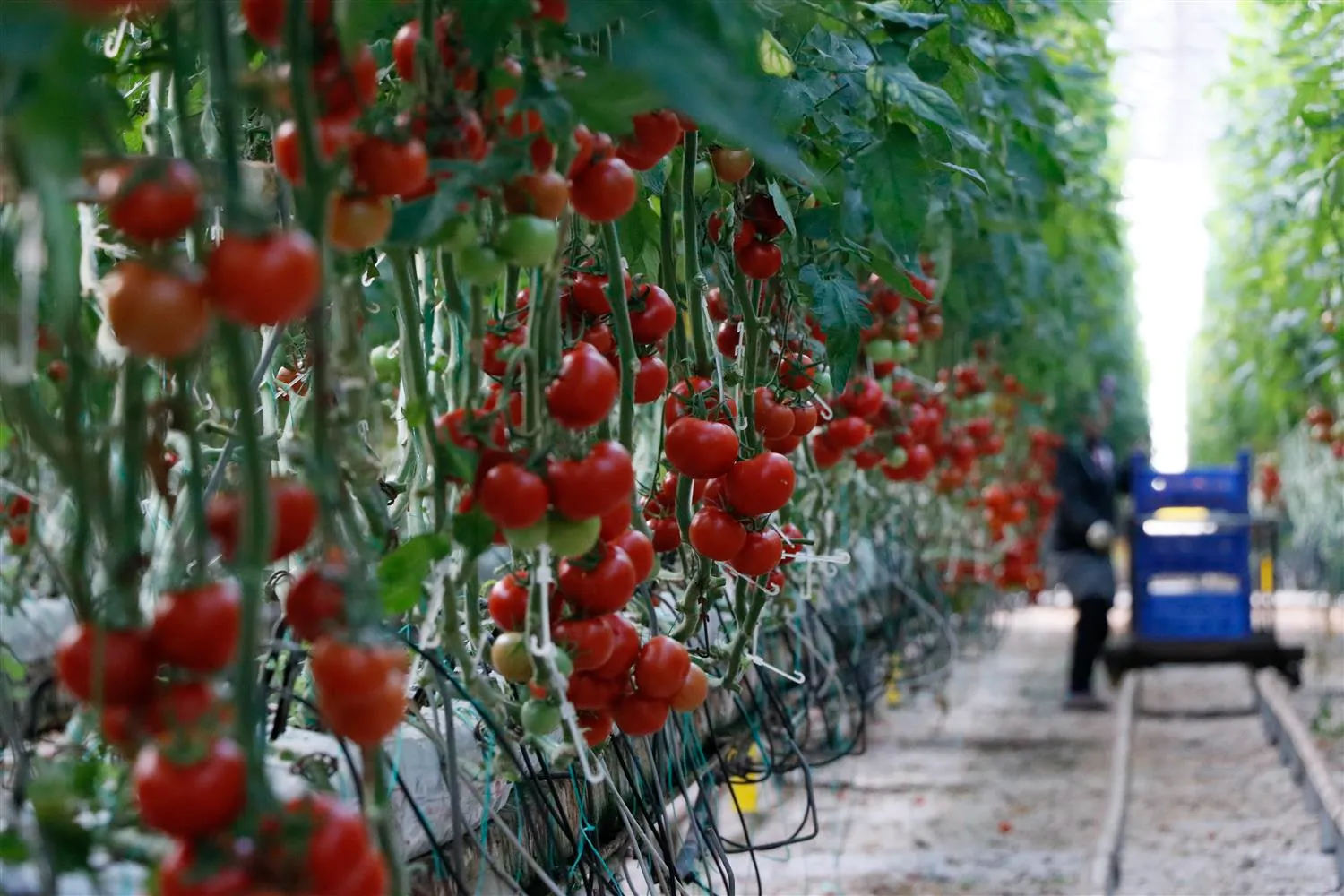 The Turkish Product Sourcing Process for Reliable B2B Procurement