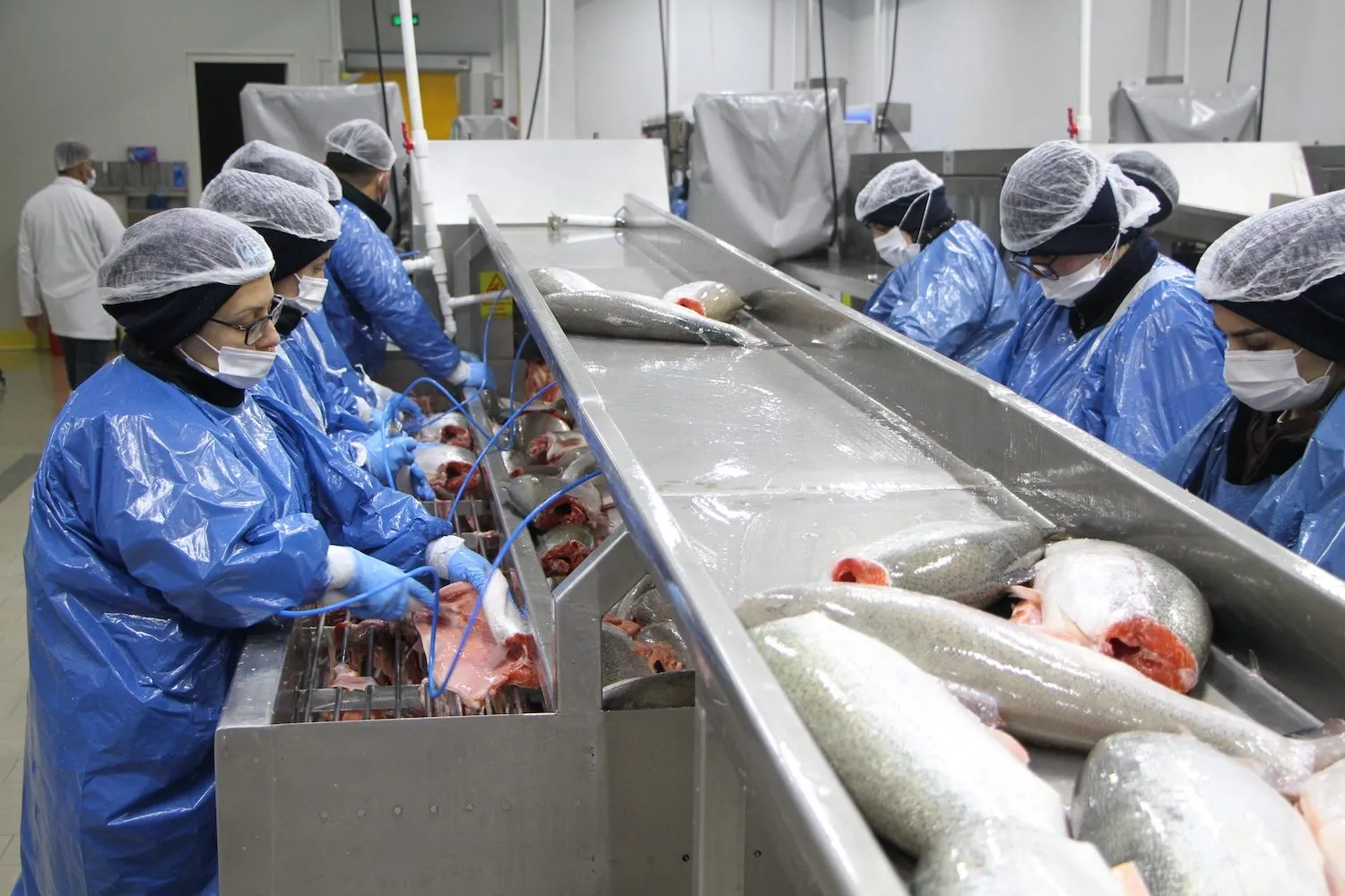 Turkey Sourcing Agency | Turkey Defense Industry Manufacturer: Leading Defense Equipment